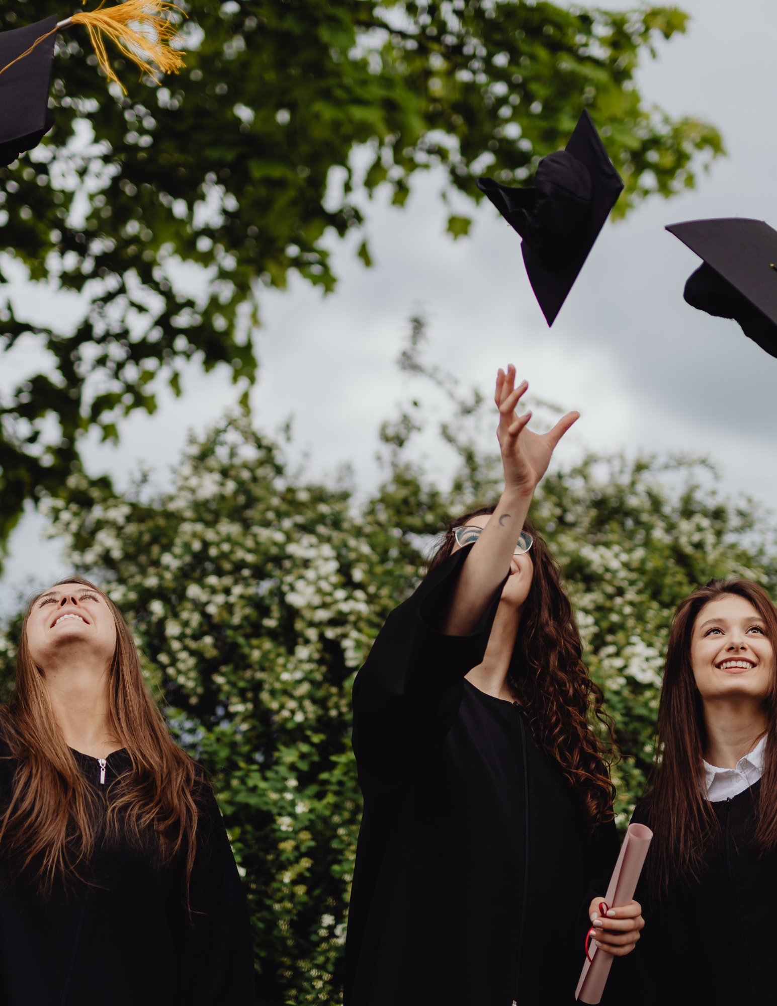 Cap and gown, diploma in hand, drinks worth celebrating. We handle the bar so you can celebrate the graduate.