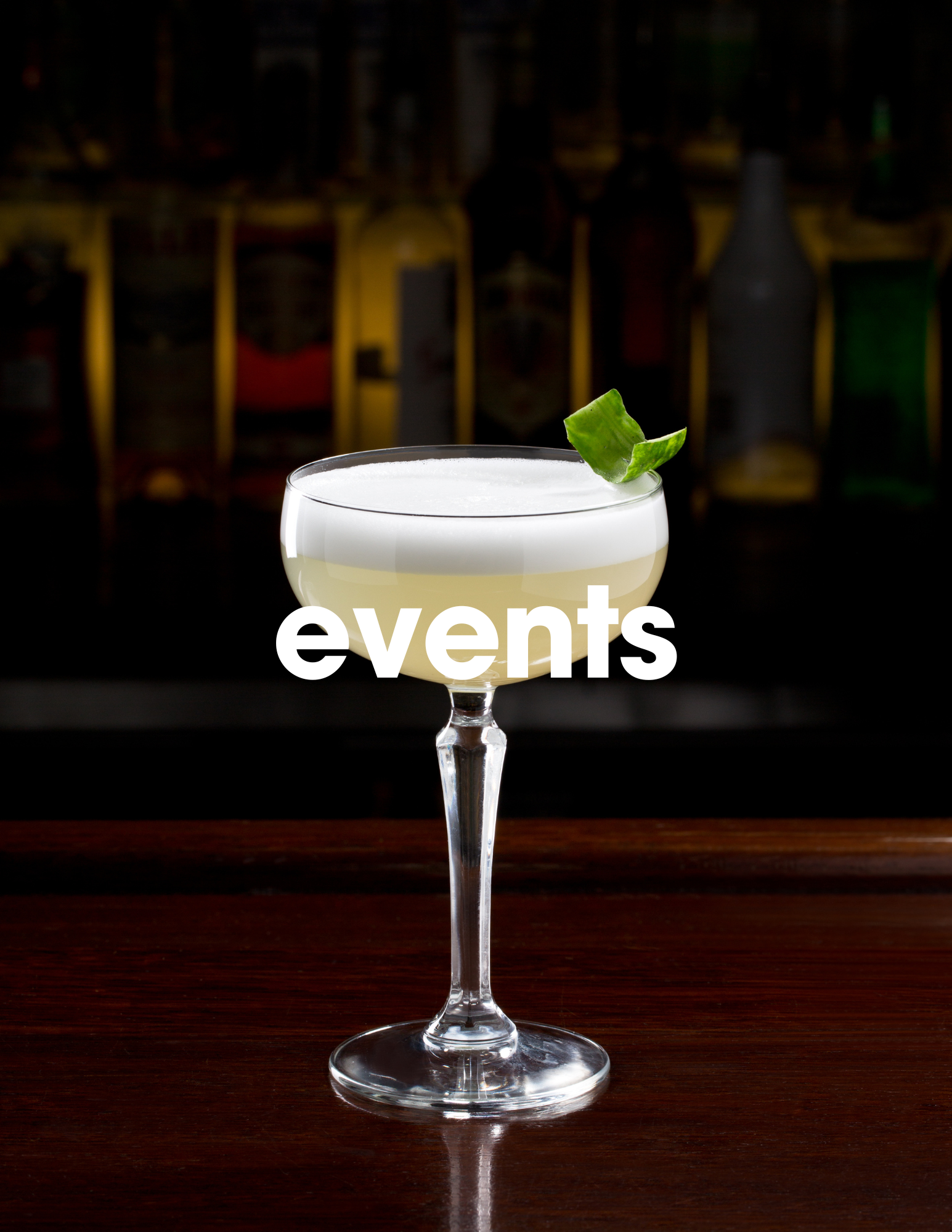 Private event bartending with professional bartenders